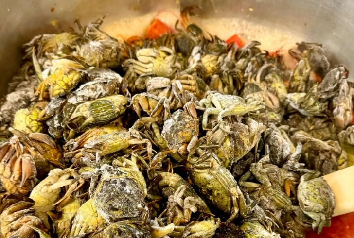Chef cooking green crabs for sustainability.